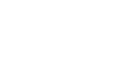 Fluro Logo