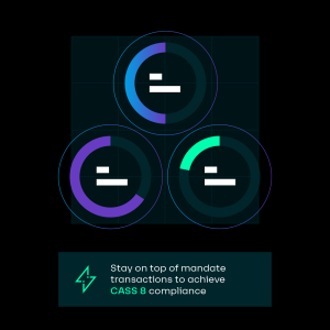 CASS Reconciliation - End to End Solution - AutoRek